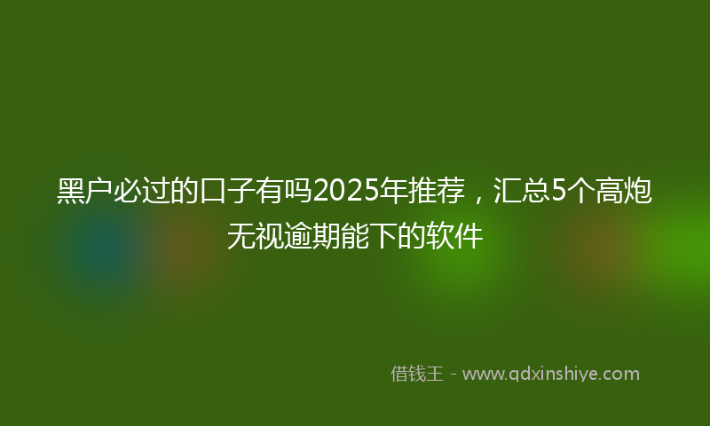黑户必过的口子有吗2025年推荐，汇总5个高炮无视逾期能下的软件