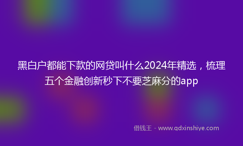 黑白户都能下款的网贷叫什么2024年精选，梳理五个金融创新秒下不要芝麻分的app