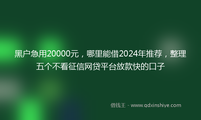 黑户急用20000元，哪里能借2024年推荐，整理五个不看征信网贷平台放款快的口子