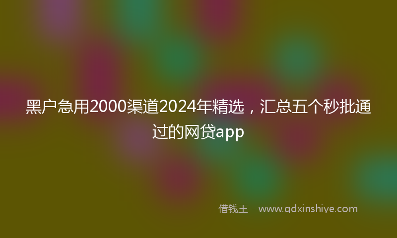 黑户急用2000渠道2024年精选，汇总五个秒批通过的网贷app