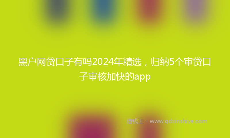 黑户网贷口子有吗2024年精选，归纳5个审贷口子审核加快的app