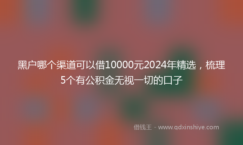 黑户哪个渠道可以借10000元2024年精选，梳理5个有公积金无视一切的口子