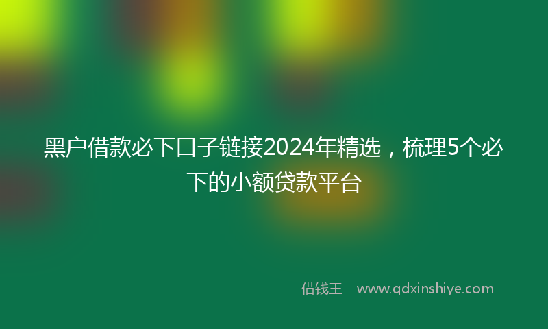 黑户借款必下口子链接2024年精选，梳理5个必下的小额贷款平台