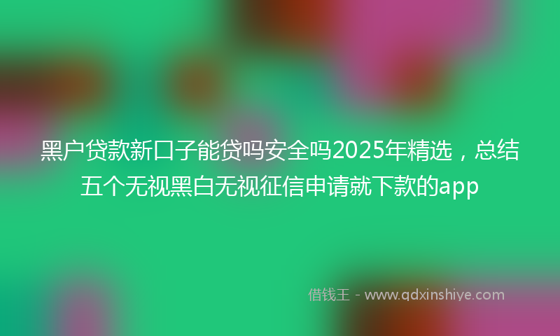黑户贷款新口子能贷吗安全吗2025年精选，总结五个无视黑白无视征信申请就下款的app