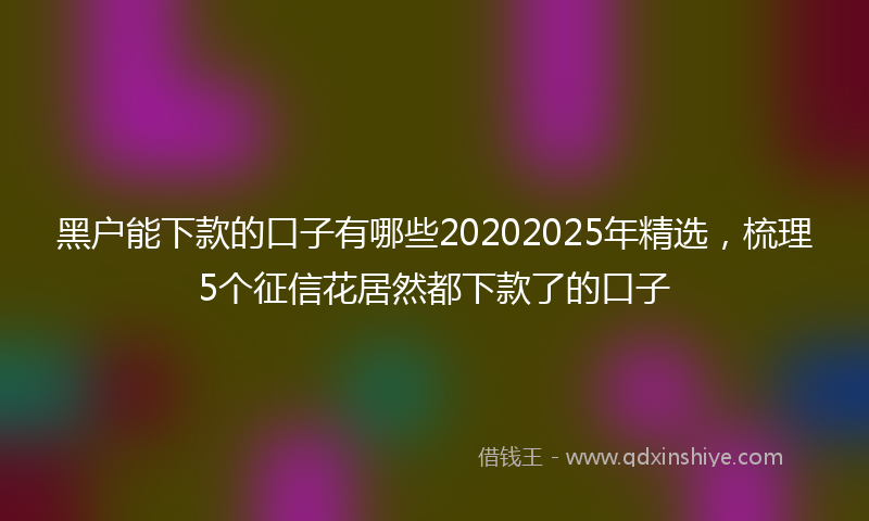 黑户能下款的口子有哪些20202025年精选，梳理5个征信花居然都下款了的口子