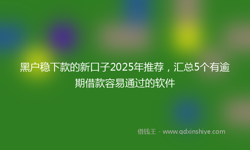 黑户稳下款的新口子2025年推荐，汇总5个有逾期借款容易通过的软件