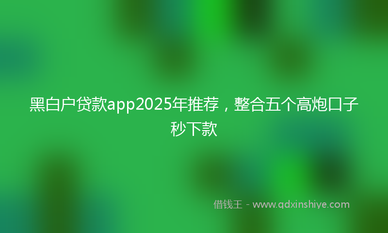 黑白户贷款app2025年推荐，整合五个高炮口子秒下款