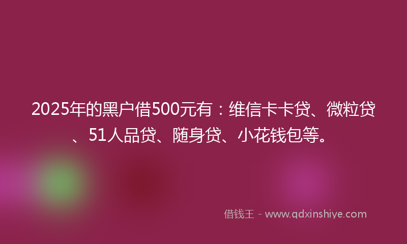 2025年的黑户借500元有：维信卡卡贷、微粒贷、51人品贷、随身贷、小花钱包等。
