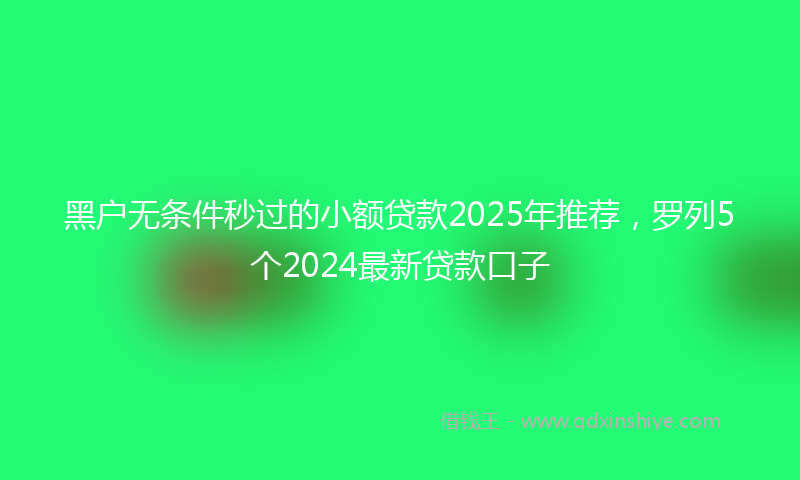 黑户无条件秒过的小额贷款2025年推荐，罗列5个2024最新贷款口子