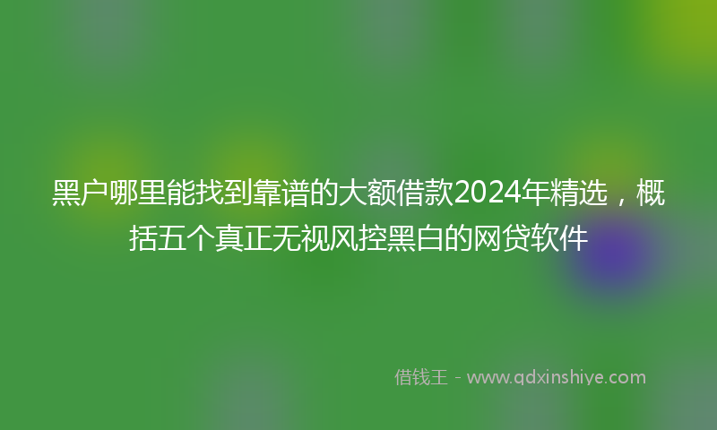 黑户哪里能找到靠谱的大额借款2024年精选，概括五个真正无视风控黑白的网贷软件