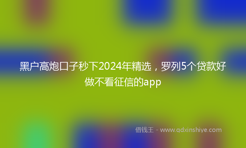 黑户高炮口子秒下2024年精选，罗列5个贷款好做不看征信的app