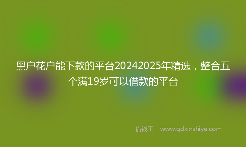黑户花户能下款的平台20242025年精选，整合五个满19岁可以借款的平台