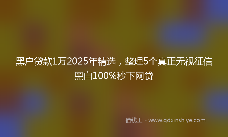 黑户贷款1万2025年精选，整理5个真正无视征信黑白100%秒下网贷