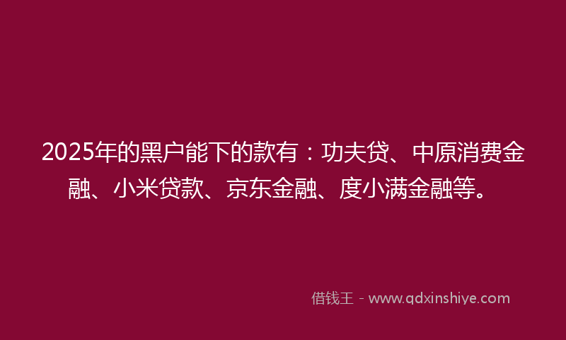 2025年的黑户能下的款有：功夫贷、中原消费金融、小米贷款、京东金融、度小满金融等。