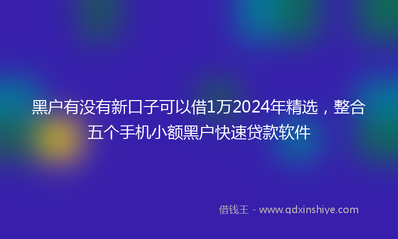 黑户有没有新口子可以借1万2024年精选，整合五个手机小额黑户快速贷款软件