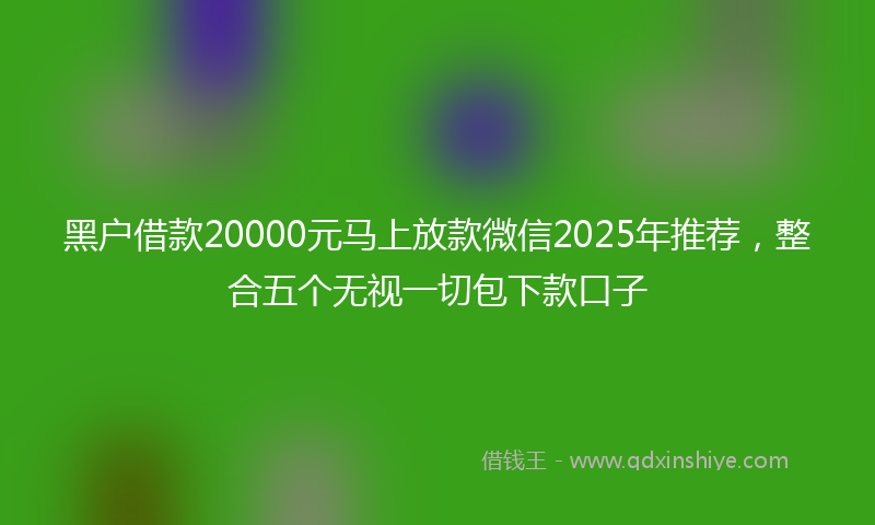 黑户借款20000元马上放款微信2025年推荐，整合五个无视一切包下款口子