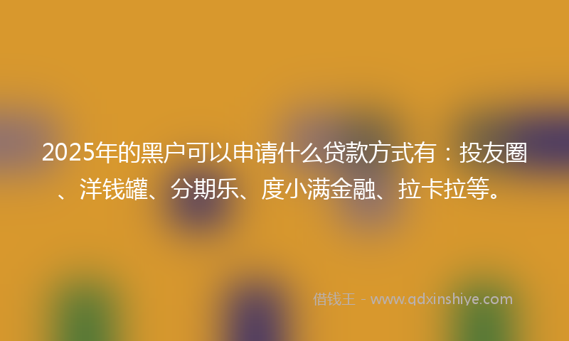 2025年的黑户可以申请什么贷款方式有：投友圈、洋钱罐、分期乐、度小满金融、拉卡拉等。