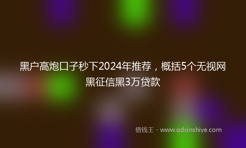 黑户高炮口子秒下2024年推荐，概括5个无视网黑征信黑3万贷款