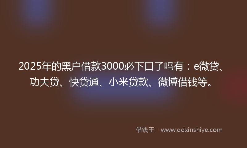 2025年的黑户借款3000必下口子吗有：e微贷、功夫贷、快贷通、小米贷款、微博借钱等。