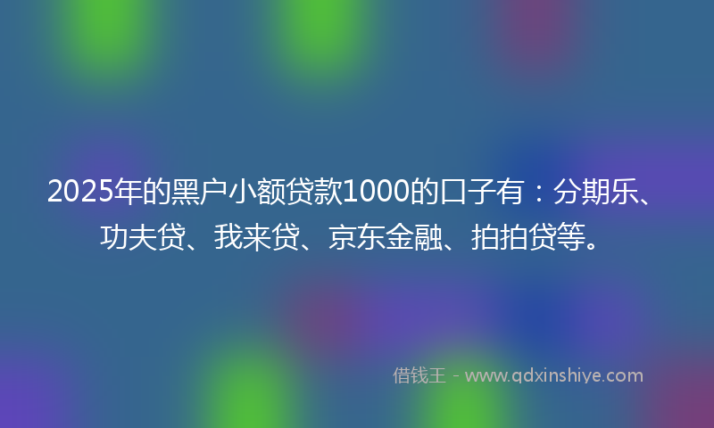 2025年的黑户小额贷款1000的口子有：分期乐、功夫贷、我来贷、京东金融、拍拍贷等。