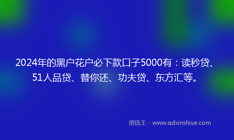 2024年的黑户花户必下款口子5000有：读秒贷、51人品贷、替你还、功夫贷、东方汇等。