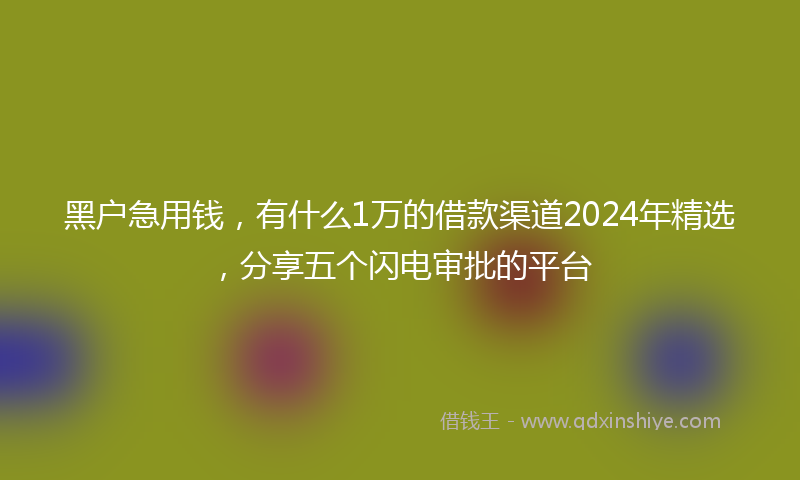 黑户急用钱，有什么1万的借款渠道2024年精选，分享五个闪电审批的平台