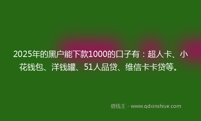 2025年的黑户能下款1000的口子有：超人卡、小花钱包、洋钱罐、51人品贷、维信卡卡贷等。