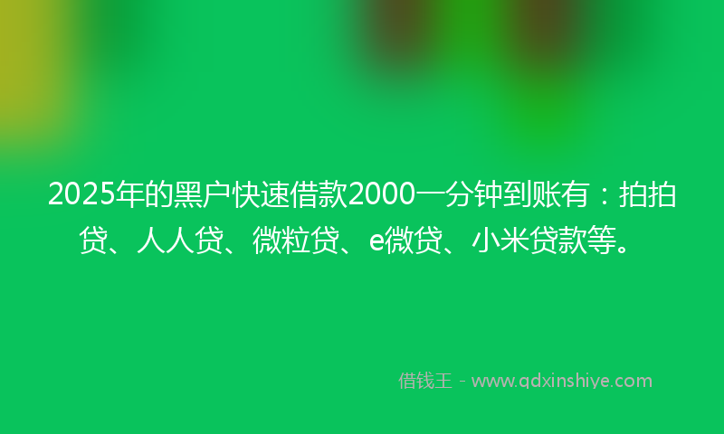 2025年的黑户快速借款2000一分钟到账有：拍拍贷、人人贷、微粒贷、e微贷、小米贷款等。