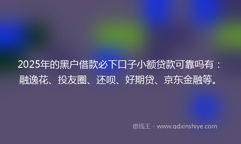 2025年的黑户借款必下口子小额贷款可靠吗有：融逸花、投友圈、还呗、好期贷、京东金融等。