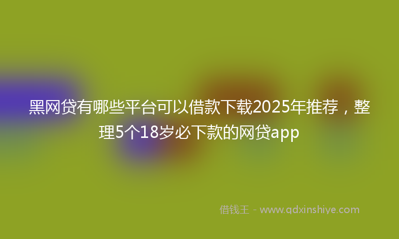 黑网贷有哪些平台可以借款下载2025年推荐，整理5个18岁必下款的网贷app