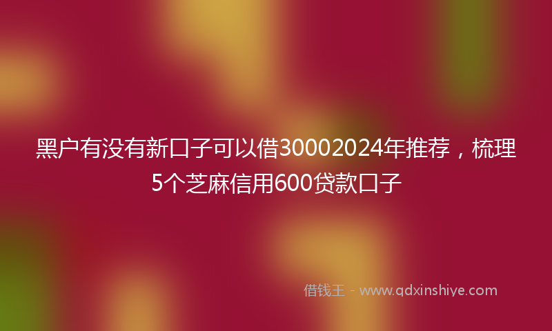 黑户有没有新口子可以借30002024年推荐，梳理5个芝麻信用600贷款口子