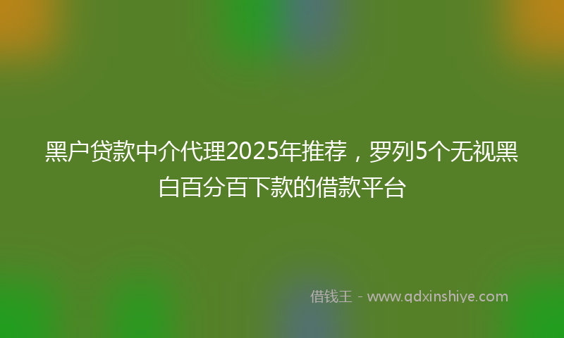 黑户贷款中介代理2025年推荐，罗列5个无视黑白百分百下款的借款平台