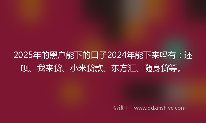 2025年的黑户能下的口子2024年能下来吗有：还呗、我来贷、小米贷款、东方汇、随身贷等。