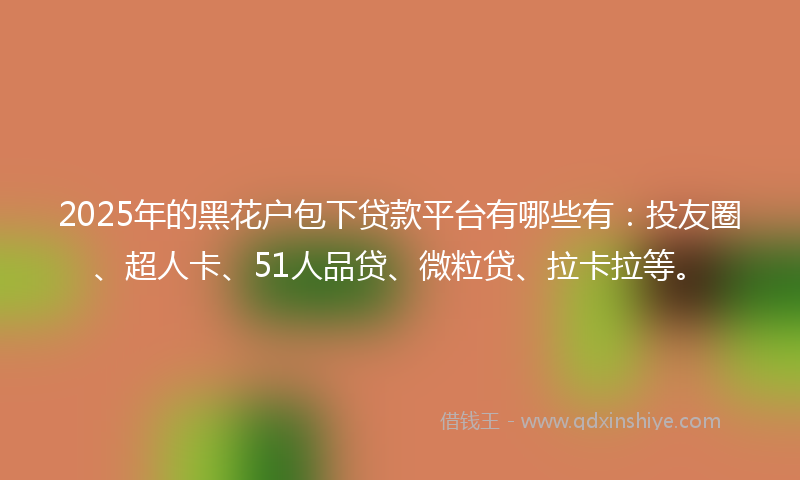 2025年的黑花户包下贷款平台有哪些有：投友圈、超人卡、51人品贷、微粒贷、拉卡拉等。