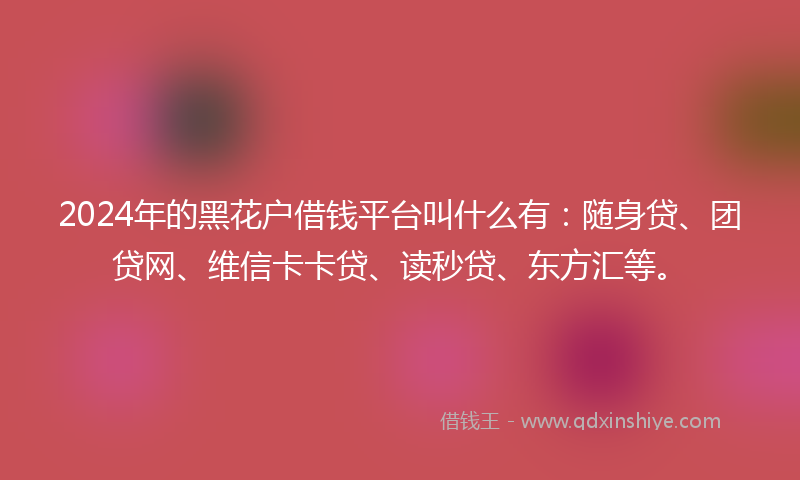 2024年的黑花户借钱平台叫什么有：随身贷、团贷网、维信卡卡贷、读秒贷、东方汇等。