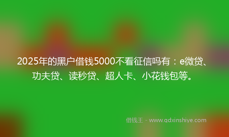 2025年的黑户借钱5000不看征信吗有：e微贷、功夫贷、读秒贷、超人卡、小花钱包等。