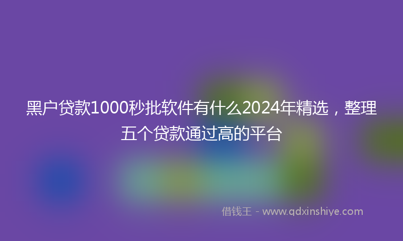 黑户贷款1000秒批软件有什么2024年精选，整理五个贷款通过高的平台