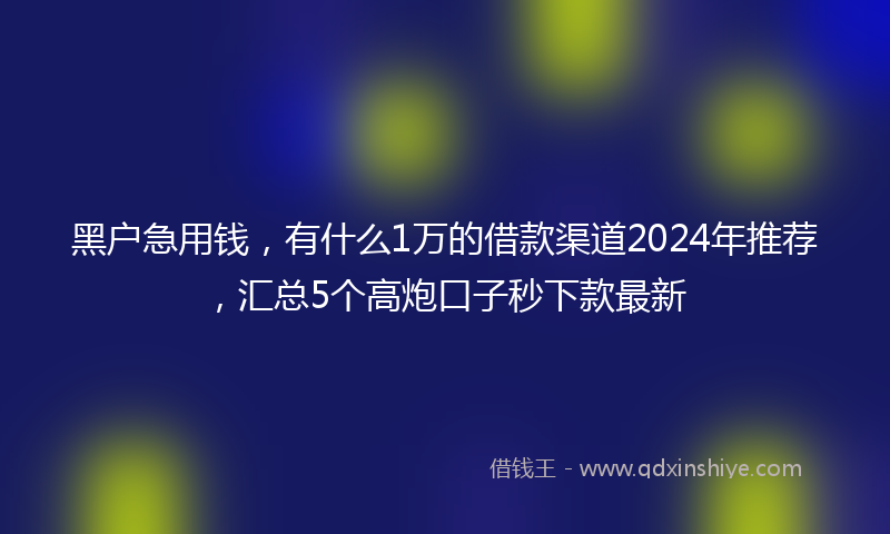 黑户急用钱，有什么1万的借款渠道2024年推荐，汇总5个高炮口子秒下款最新
