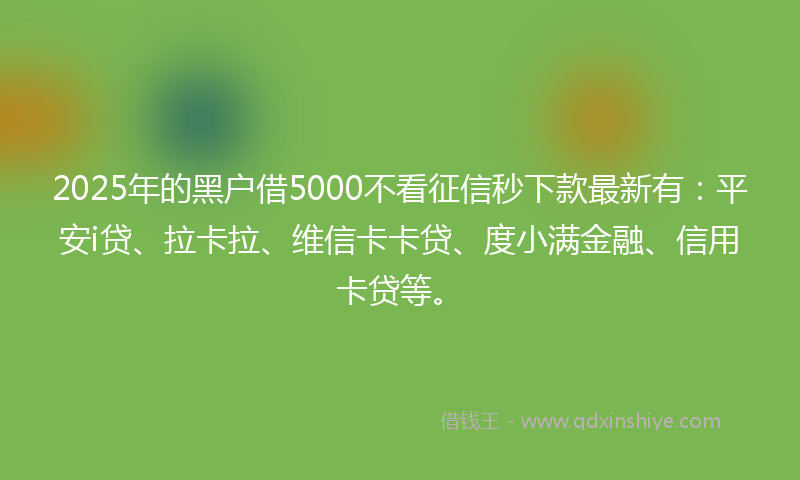 2025年的黑户借5000不看征信秒下款最新有：平安i贷、拉卡拉、维信卡卡贷、度小满金融、信用卡贷等。