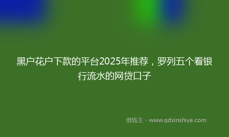 黑户花户下款的平台2025年推荐，罗列五个看银行流水的网贷口子