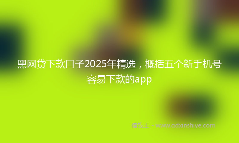 黑网贷下款口子2025年精选，概括五个新手机号容易下款的app