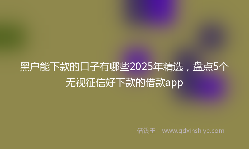 黑户能下款的口子有哪些2025年精选，盘点5个无视征信好下款的借款app