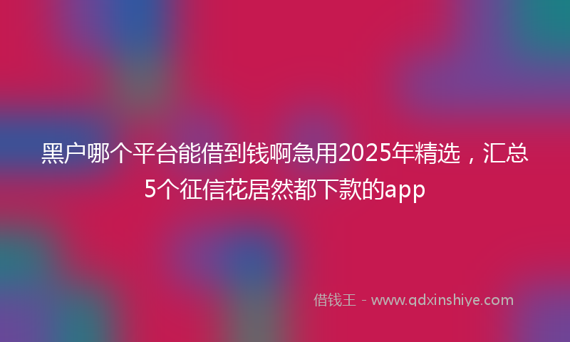 黑户哪个平台能借到钱啊急用2025年精选，汇总5个征信花居然都下款的app