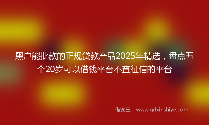 黑户能批款的正规贷款产品2025年精选，盘点五个20岁可以借钱平台不查征信的平台