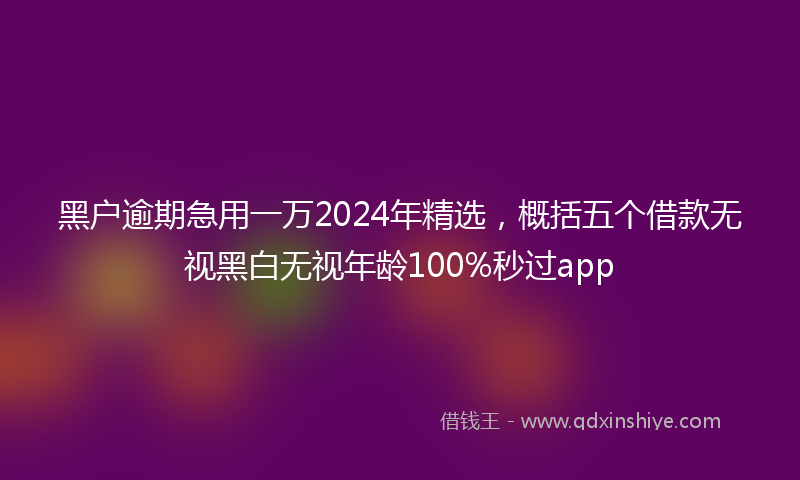 黑户逾期急用一万2024年精选，概括五个借款无视黑白无视年龄100%秒过app