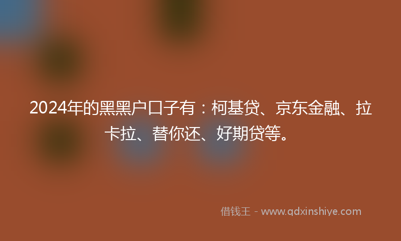 2024年的黑黑户口子有：柯基贷、京东金融、拉卡拉、替你还、好期贷等。