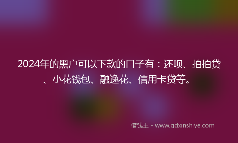 2024年的黑户可以下款的口子有：还呗、拍拍贷、小花钱包、融逸花、信用卡贷等。