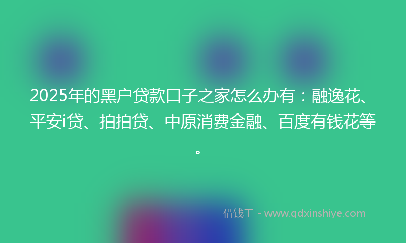 2025年的黑户贷款口子之家怎么办有：融逸花、平安i贷、拍拍贷、中原消费金融、百度有钱花等。