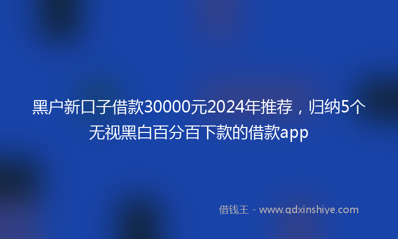 黑户新口子借款30000元2024年推荐，归纳5个无视黑白百分百下款的借款app
