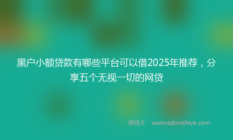 黑户小额贷款有哪些平台可以借2025年推荐，分享五个无视一切的网贷